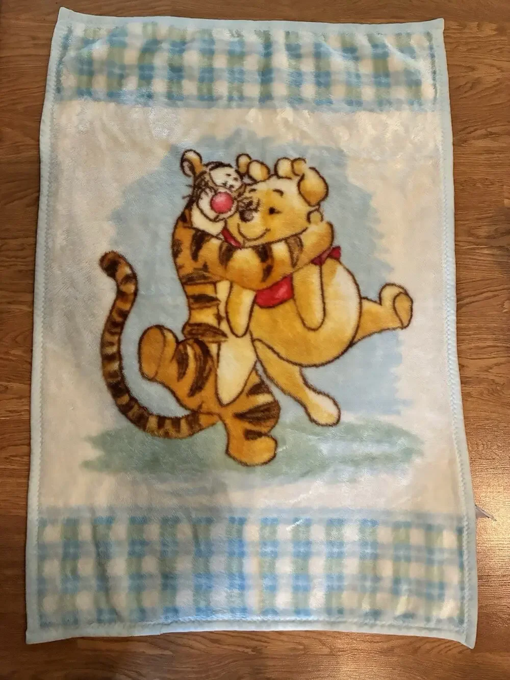 Disney Winnie The Pooh Tigger Plush Throw Blanket Plaid Y2K